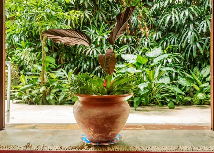 Barong Retreat With Hammock Terrace, Garden & Koi Pond Villa