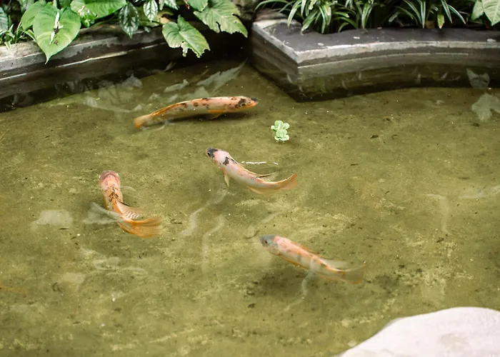 Villa Barong Retreat With Hammock Terrace, Garden & Koi Pond *