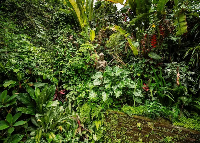 Villa Barong Retreat With Hammock Terrace, Garden & Koi Pond