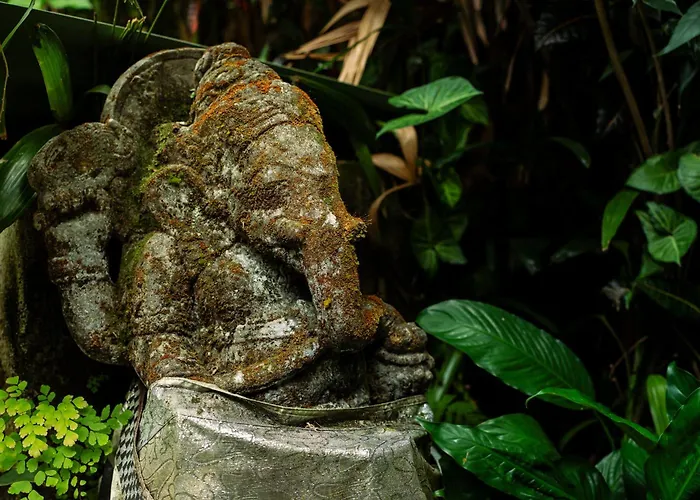 Barong Retreat With Hammock Terrace, Garden & Koi Pond